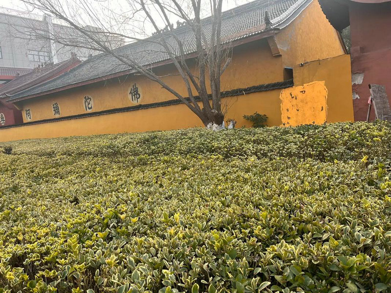 生命线断开么怕 修身养性积功德改运(图解) 生命线断开么怕 修身养性积功德改运(图解)