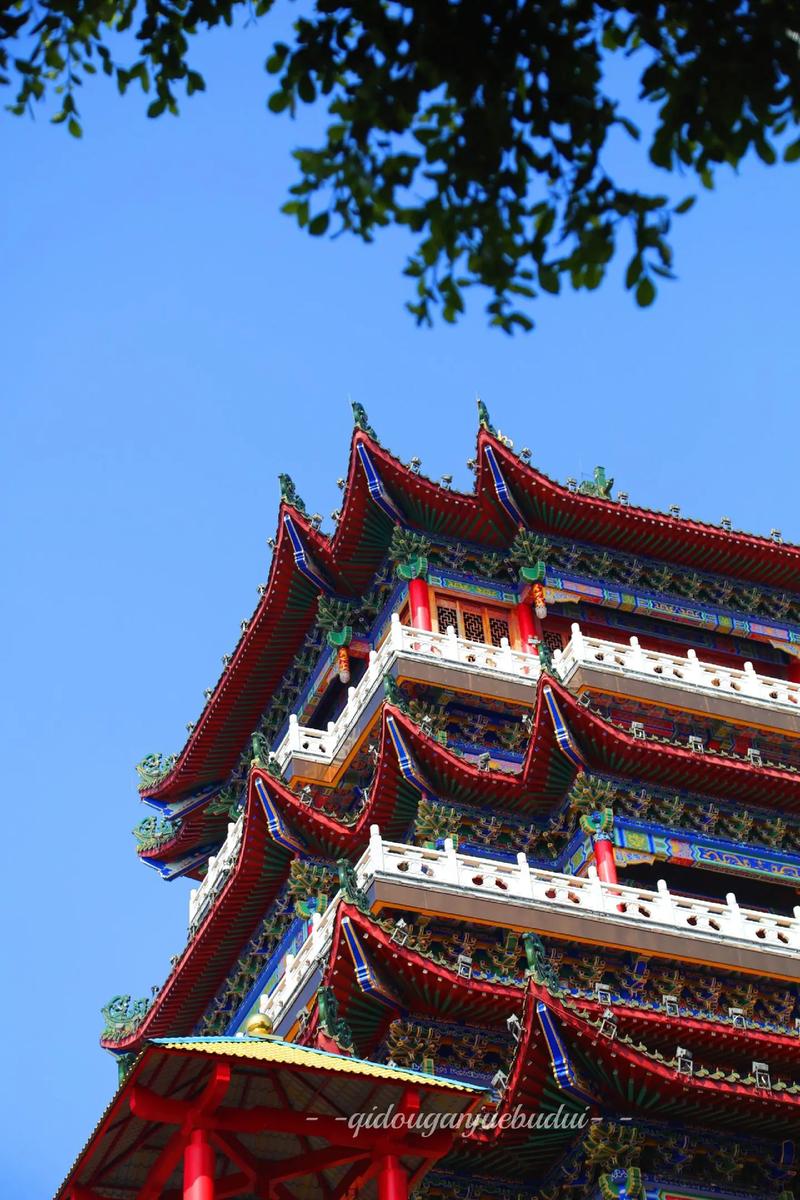 属什么属相养猪能发财 生活顺利好处多多 属什么属相养猪能发财 生活顺利好处多多